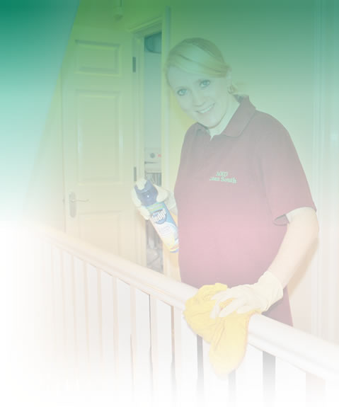Professional domestic cleaners, Thanet