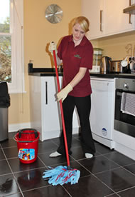 Domestic cleaning company in East Kent